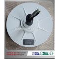 1KW 350RPM 56VDC Coreless Disc Wind Generator